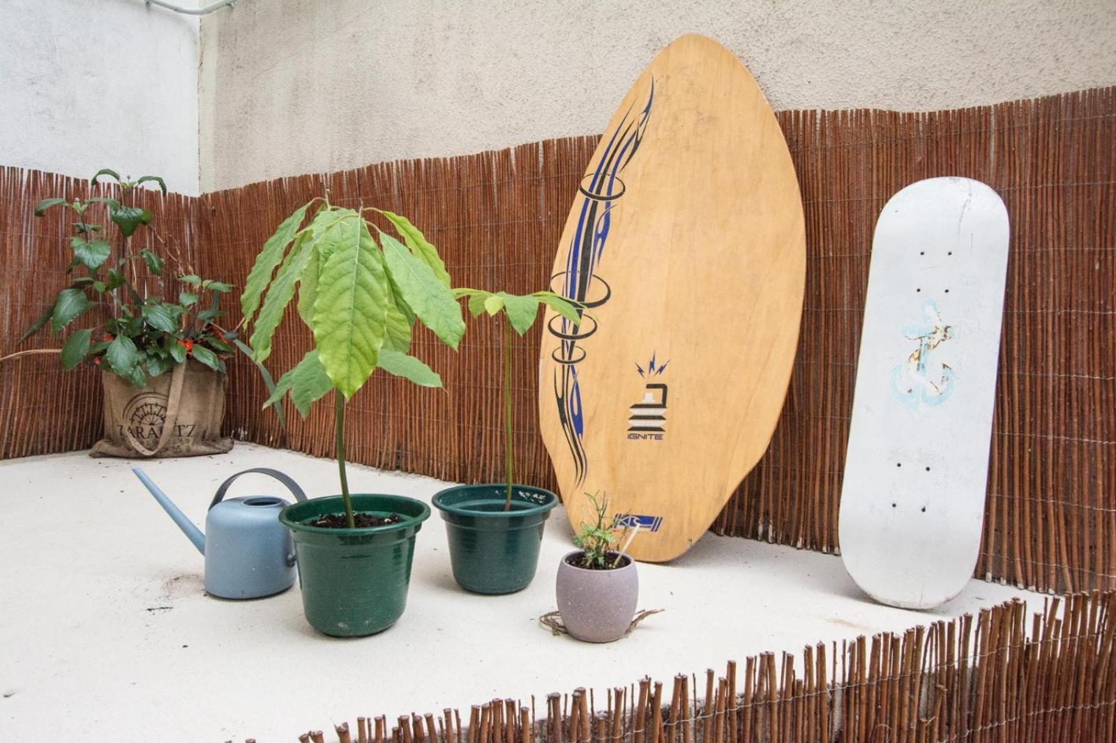 Altzoan Zarauz Tourist Apartments Con Aparcamiento Gratis Экстерьер фото